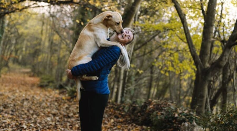 Pet sitters à Bordeaux ou gardiens d’animaux à Bordeaux : pet sitting à Bordeaux pour les chats et les chiens