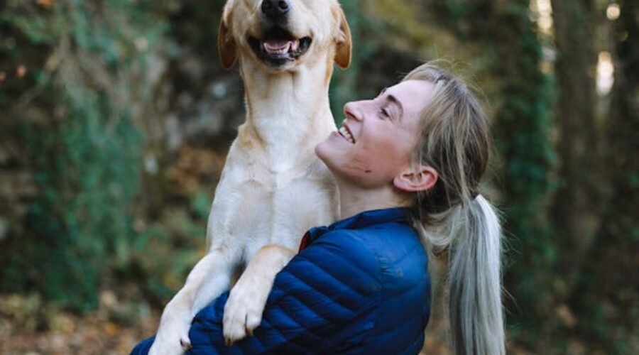 Pet sitters à Rennes ou gardiens d’animaux à Rennes : pet sitting à Rennes pour les chats et les chiens